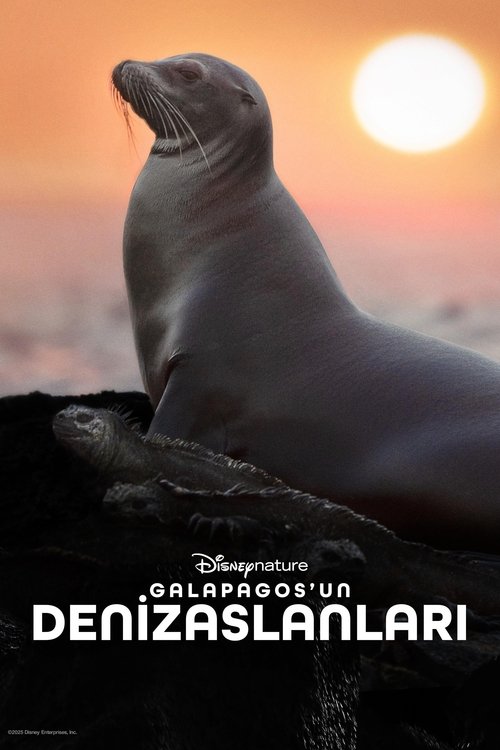 Galapagos’un Denizaslanları